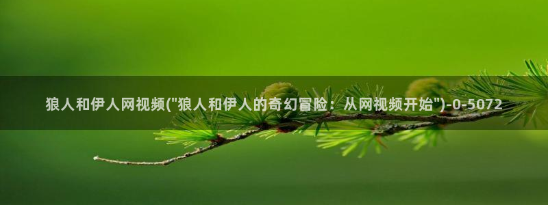 久久伊人久久西瓜影院