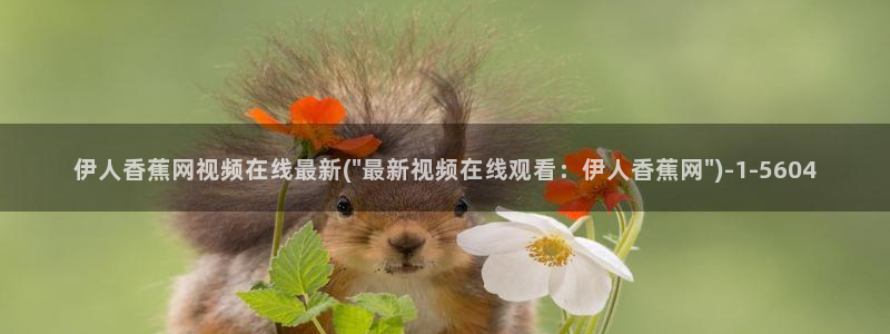 亚洲精品伊人久久久影院