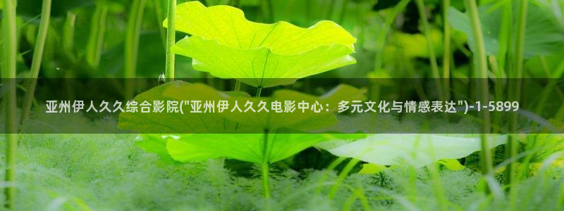 狼人伊人久久影院